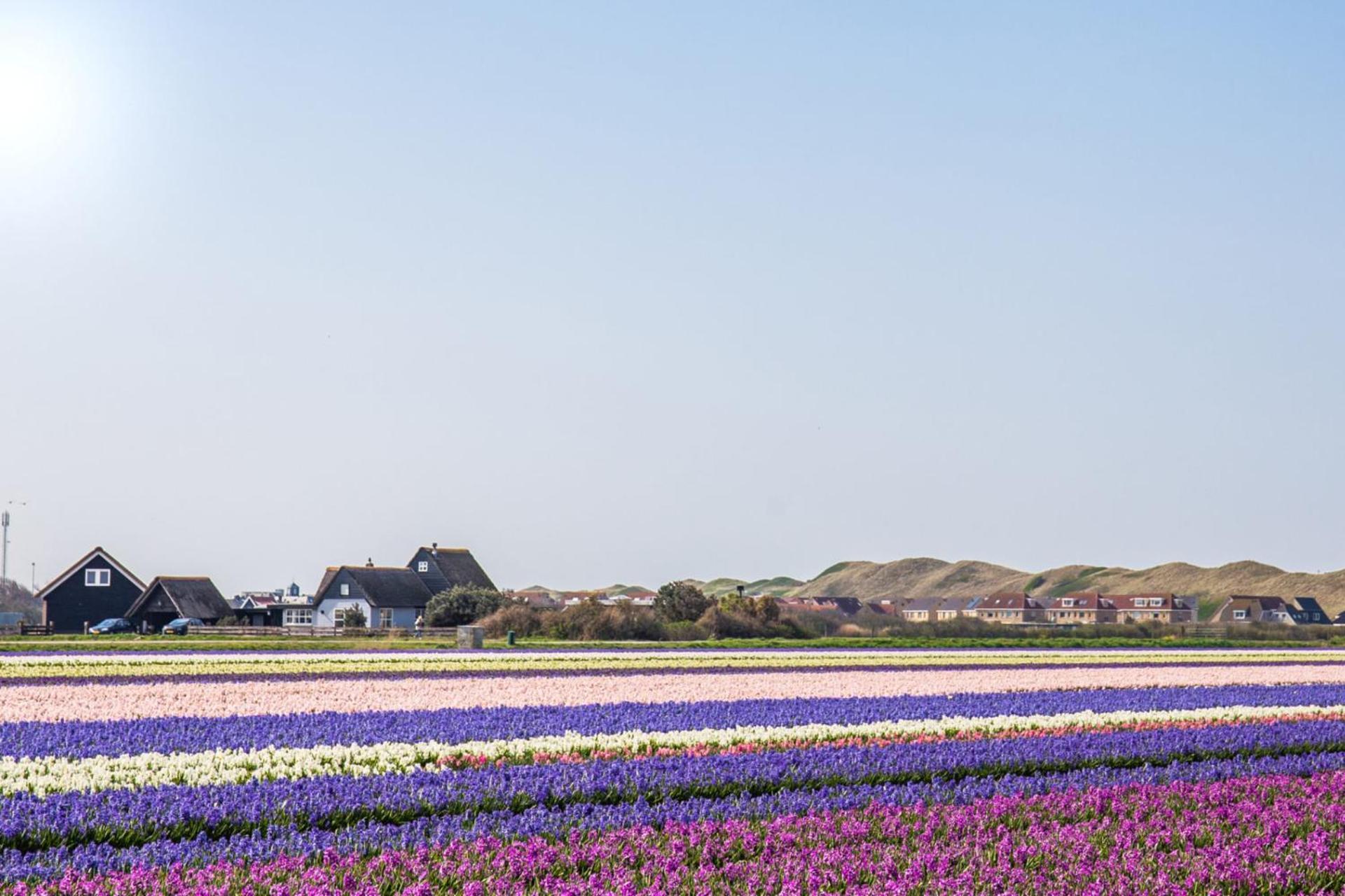 Beach Appartement 17 - Aan De Duinen, Callantsoog Aan Zee Kültér fotó