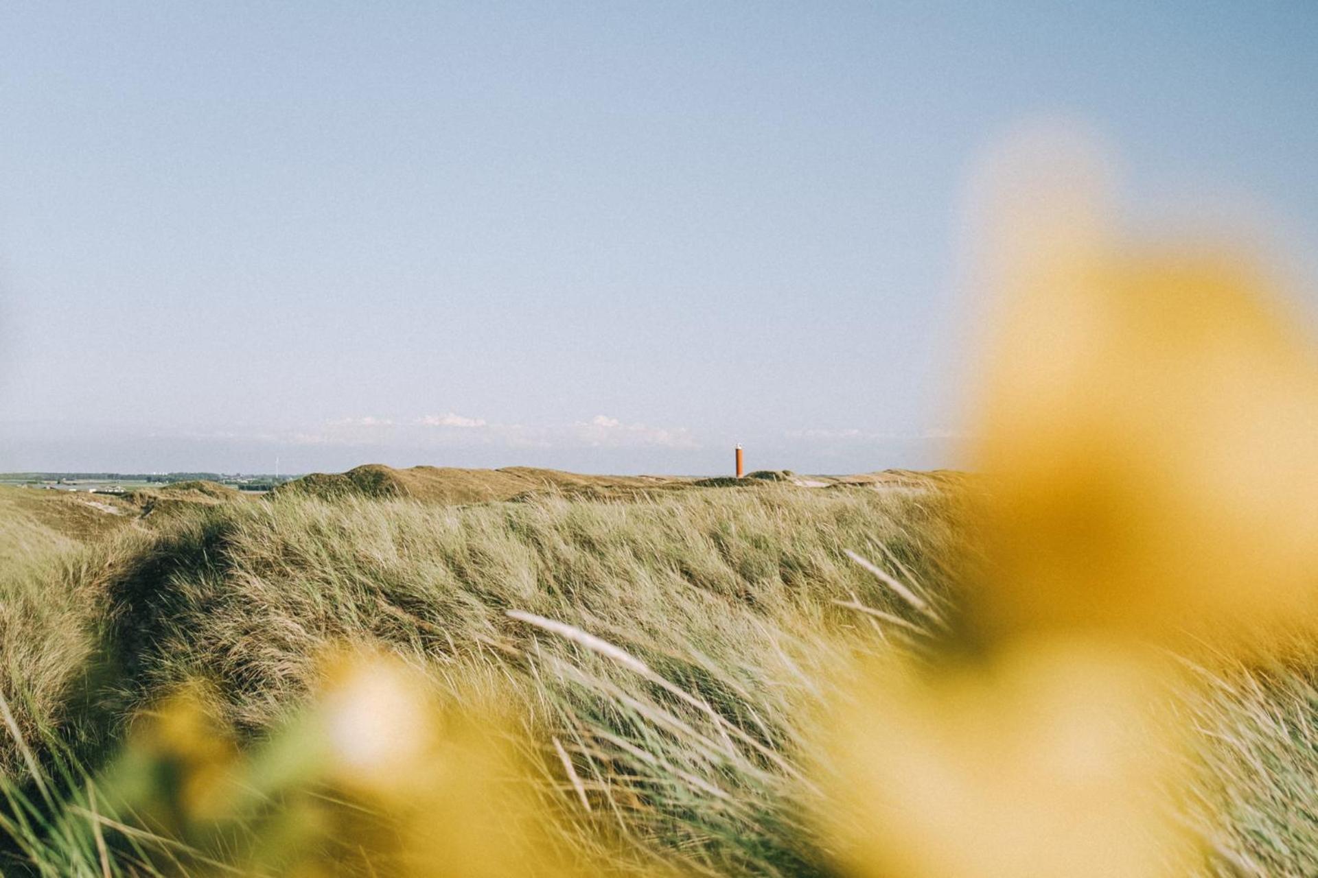 Beach Appartement 17 - Aan De Duinen, Callantsoog Aan Zee Kültér fotó